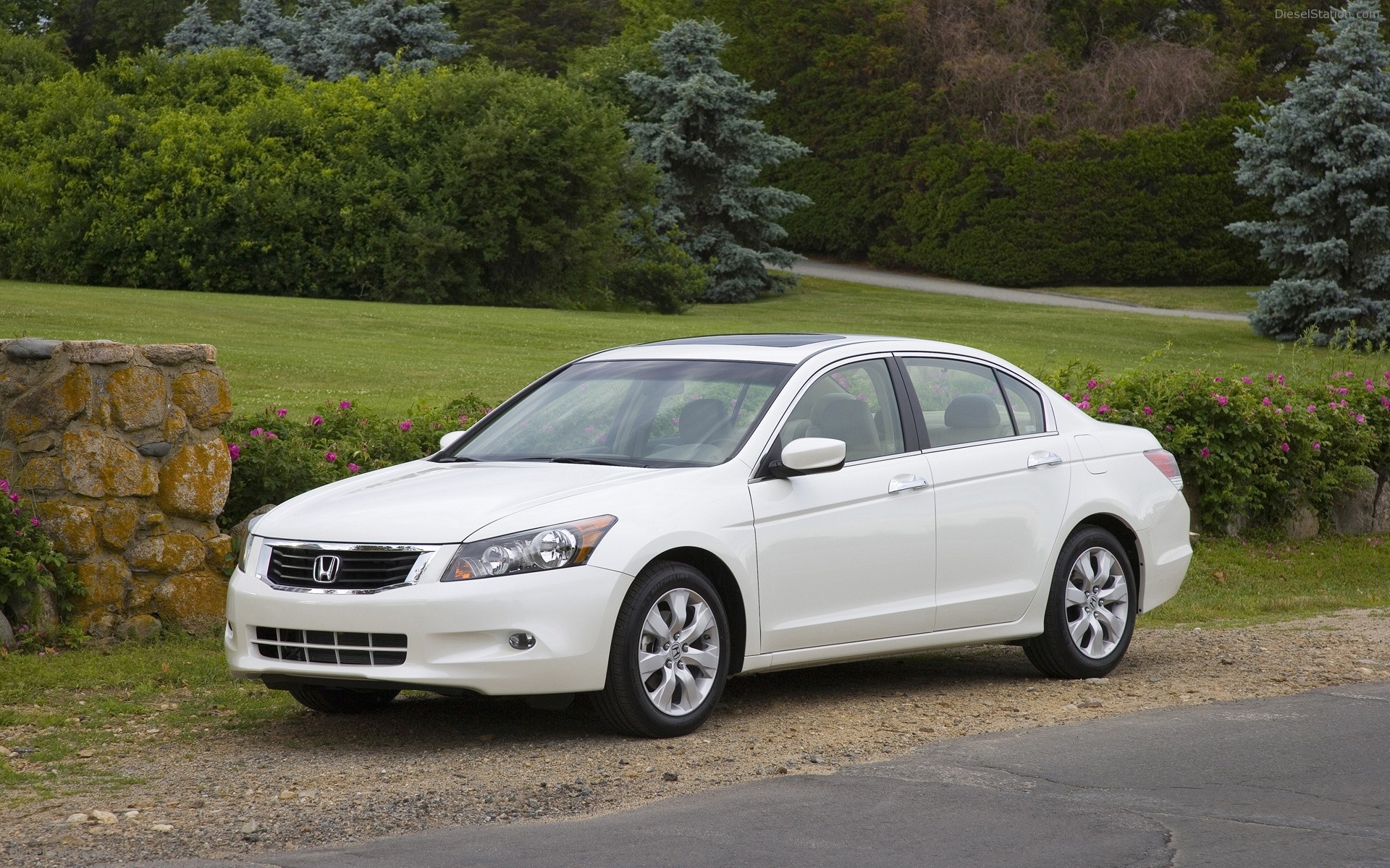 2008 Honda Accord Coupe & Sedan